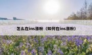 怎么在ins涨粉（如何在ins涨粉）