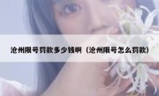沧州限号罚款多少钱啊（沧州限号怎么罚款）