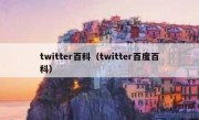 twitter百科（twitter百度百科）