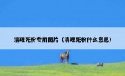 清理死粉专用图片（清理死粉什么意思）