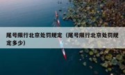 尾号限行北京处罚规定（尾号限行北京处罚规定多少）