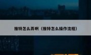 推特怎么弄啊（推特怎么操作流程）