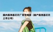 国内服务器芯片厂家有哪些（国产服务器芯片上市公司）