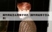 国外网站怎么搭梯子访问（国外网站梯子怎么弄）