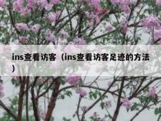 ins查看访客（ins查看访客足迹的方法）
