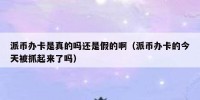 派币办卡是真的吗还是假的啊（派币办卡的今天被抓起来了吗）