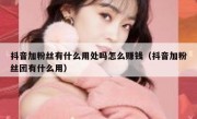 抖音加粉丝有什么用处吗怎么赚钱（抖音加粉丝团有什么用）