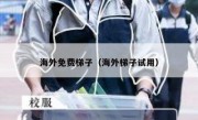 海外免费梯子（海外梯子试用）