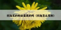 抖加买的粉丝是真的吗（抖加怎么买粉）