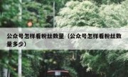 公众号怎样看粉丝数量（公众号怎样看粉丝数量多少）