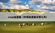 snap加速器（外网加速器试用七天）