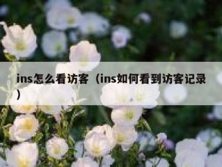 ins怎么看访客（ins如何看到访客记录）