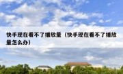 快手现在看不了播放量（快手现在看不了播放量怎么办）