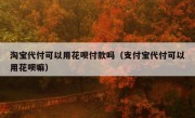 淘宝代付可以用花呗付款吗（支付宝代付可以用花呗嘛）