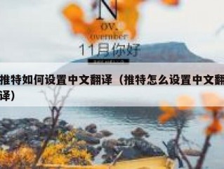 推特如何设置中文翻译（推特怎么设置中文翻译）