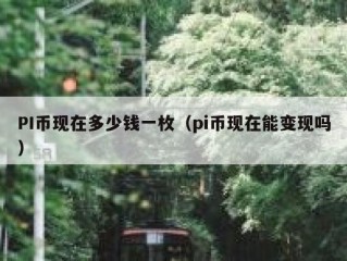 PI币现在多少钱一枚（pi币现在能变现吗）