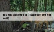 抖音加粉丝灯牌多少钱（抖音粉丝灯牌多少钱16级）