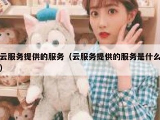 云服务提供的服务（云服务提供的服务是什么）