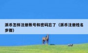 派币怎样注册账号和密码忘了（派币注册姓名步骤）