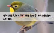 玩转极品人生化学厂爆炸是哪章（玩转极品人生好看吗）