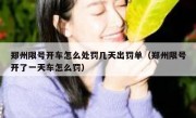 郑州限号开车怎么处罚几天出罚单（郑州限号开了一天车怎么罚）