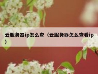 云服务器ip怎么查（云服务器怎么查看ip）