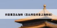 抖音里怎么加粉（怎么样在抖音上加粉丝）