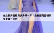 企业服务器租用多少钱一年（企业服务器租用多少钱一年啊）