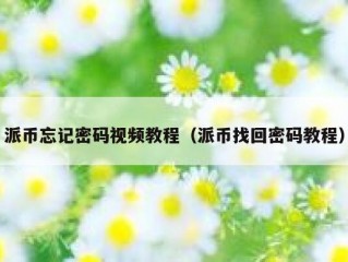 派币忘记密码视频教程（派币找回密码教程）