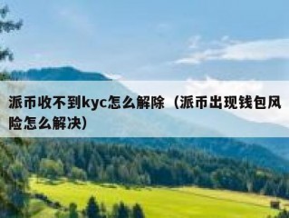 派币收不到kyc怎么解除（派币出现钱包风险怎么解决）
