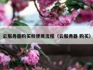 云服务器购买和使用流程（云服务器 购买）
