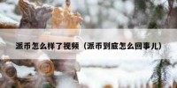 派币怎么样了视频（派币到底怎么回事儿）