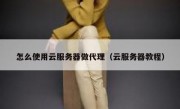 怎么使用云服务器做代理（云服务器教程）