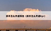派币怎么开通钱包（派币怎么开通kyc）