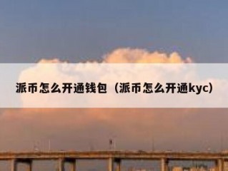 派币怎么开通钱包（派币怎么开通kyc）