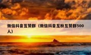 微信抖音互赞群（微信抖音互粉互赞群500人）