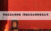 赞加王怎么读拼音（赞加王怎么读拼音怎么写）