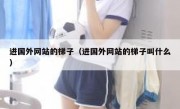 进国外网站的梯子（进国外网站的梯子叫什么）