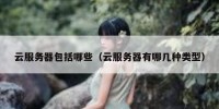 云服务器包括哪些（云服务器有哪几种类型）