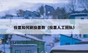 投票如何刷投票数（投票人工团队）