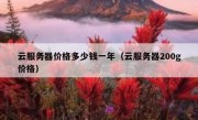 云服务器价格多少钱一年（云服务器200g价格）