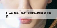 PI认证员是干嘛的（PIN认证模式是干嘛的）
