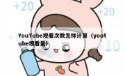 YouTube观看次数怎样计算（youtube观看量）