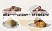 油管是一个什么类型的软件（油管到底是什么）
