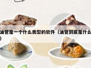 油管是一个什么类型的软件（油管到底是什么）