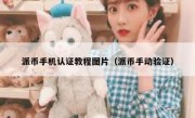 派币手机认证教程图片（派币手动验证）