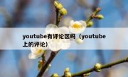 youtube有评论区吗（youtube上的评论）