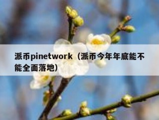派币pinetwork（派币今年年底能不能全面落地）