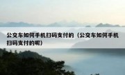公交车如何手机扫码支付的（公交车如何手机扫码支付的呢）