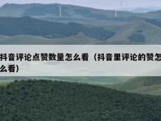 抖音评论点赞数量怎么看（抖音里评论的赞怎么看）